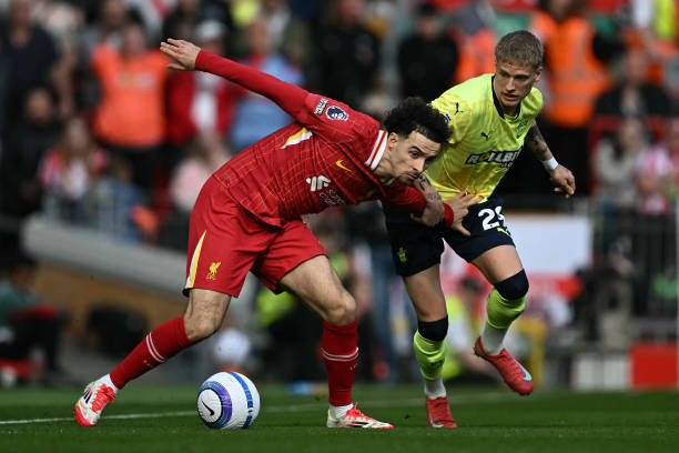 不仅影响着 不仅影响着