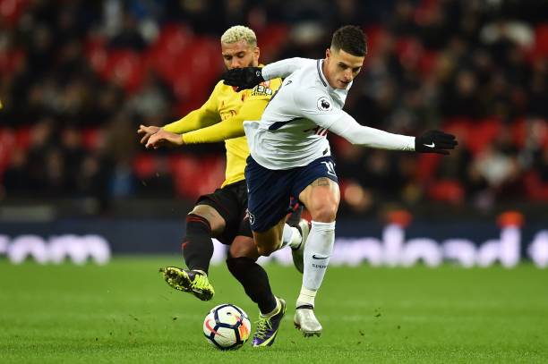 激动的球迷 激动的球迷